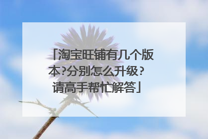 淘宝旺铺有几个版本?分别怎么升级?请高手帮忙解答
