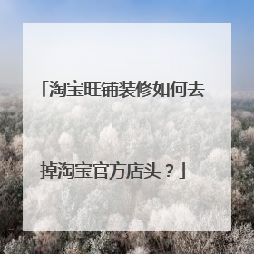 淘宝旺铺装修如何去掉淘宝官方店头?