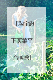 淘宝旗下买菜平台叫啥