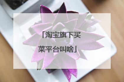 淘宝旗下买菜平台叫啥