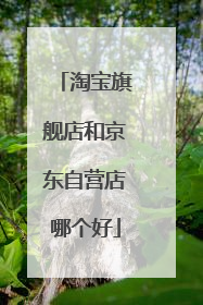 淘宝旗舰店和京东自营店哪个好