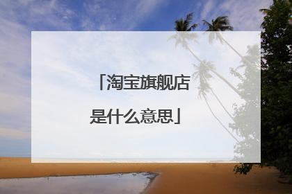 淘宝旗舰店是什么意思
