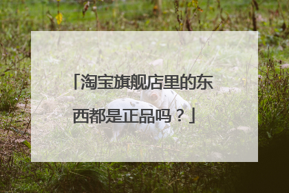 淘宝旗舰店里的东西都是正品吗?