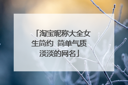 淘宝昵称大全女生简约 简单气质淡淡的网名