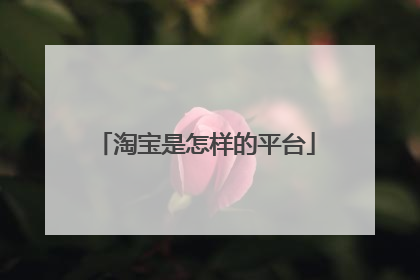 淘宝是怎样的平台