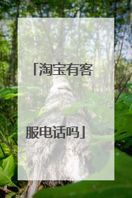 淘宝有客服电话吗