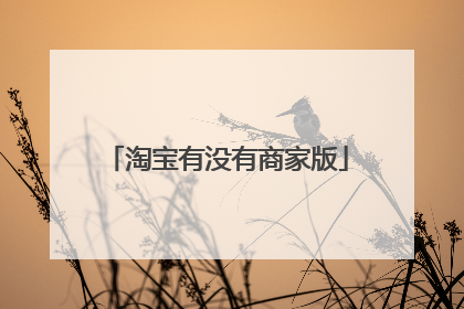 淘宝有没有商家版