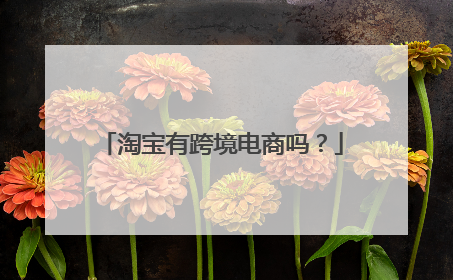 淘宝有跨境电商吗？