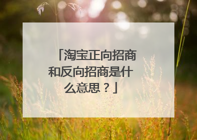淘宝正向招商和反向招商是什么意思?
