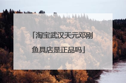 淘宝武汉天元邓刚鱼具店是正品吗