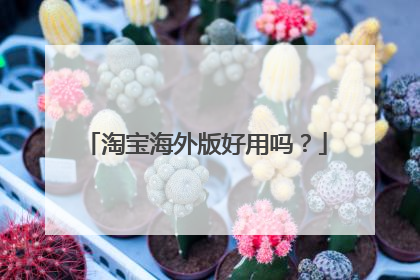 淘宝海外版好用吗?