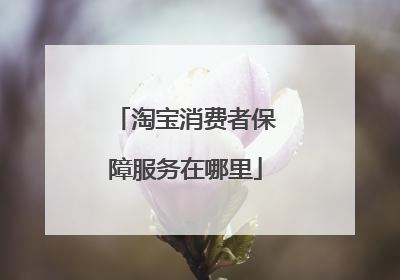 淘宝消费者保障服务在哪里
