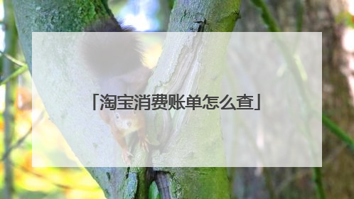 淘宝消费账单怎么查