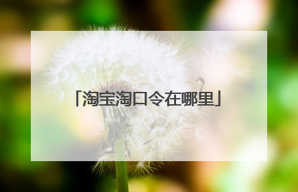淘宝淘口令在哪里
