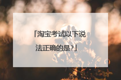 淘宝考试以下说法正确的是?