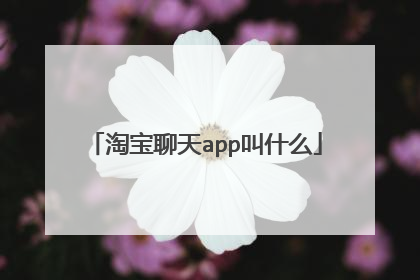 淘宝聊天app叫什么