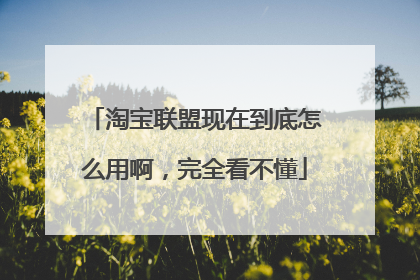 淘宝联盟现在到底怎么用啊，完全看不懂