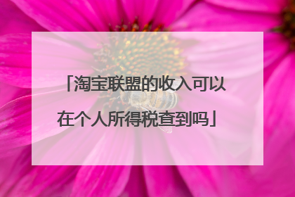 淘宝联盟的收入可以在个人所得税查到吗