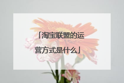 淘宝联盟的运营方式是什么