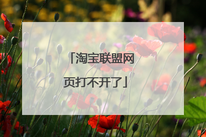 淘宝联盟网页打不开了