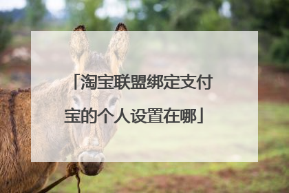 淘宝联盟绑定支付宝的个人设置在哪