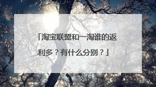 淘宝联盟和一淘谁的返利多?有什么分别?