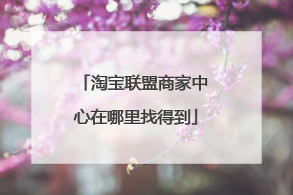 淘宝联盟商家中心在哪里找得到