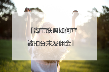 淘宝联盟如何查被扣分未发佣金