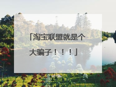 淘宝联盟就是个大骗子!!!