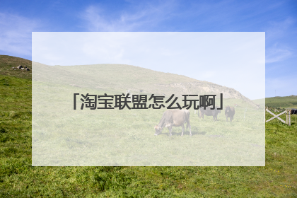 淘宝联盟怎么玩啊
