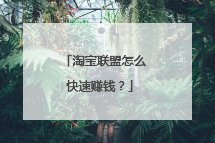 淘宝联盟怎么快速赚钱?