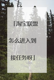淘宝联盟怎么进入到接任务呀