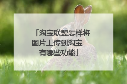 淘宝联盟怎样将图片上传到淘宝 有哪些功能