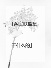 淘宝联盟是干什么的