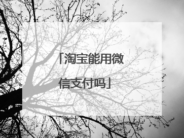淘宝能用微信支付吗
