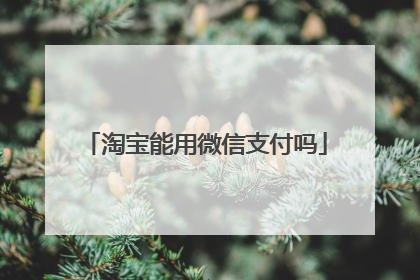 淘宝能用微信支付吗