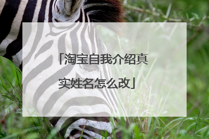 淘宝自我介绍真实姓名怎么改