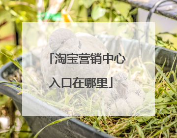 淘宝营销中心入口在哪里