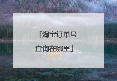 淘宝订单号查询在哪里