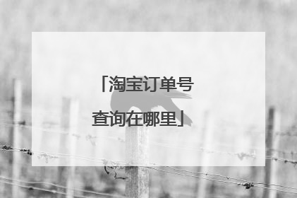 淘宝订单号查询在哪里