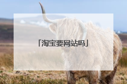 淘宝要网站吗