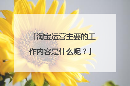 淘宝运营主要的工作内容是什么呢？