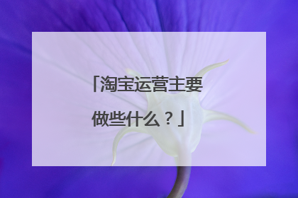 淘宝运营主要做些什么?