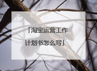 淘宝运营工作计划书怎么写
