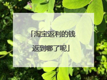淘宝返利的钱 返到哪了呢