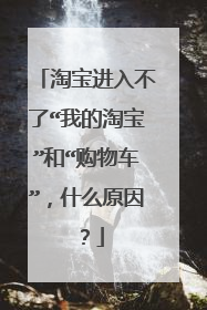淘宝进入不了“我的淘宝”和“购物车”,什么原因?