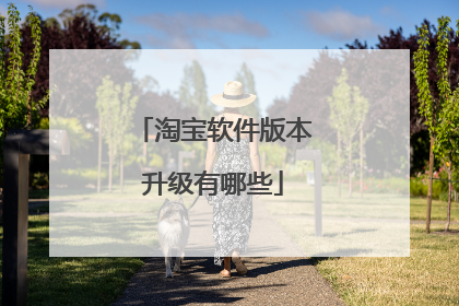 淘宝软件版本升级有哪些
