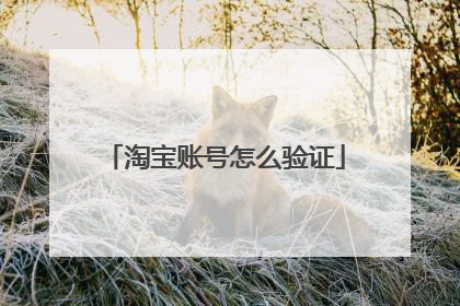 淘宝账号怎么验证