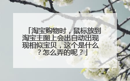 淘宝购物时,鼠标放到淘宝主图上会出自动出现现相似宝贝,这个是什么?怎么弄的呢?