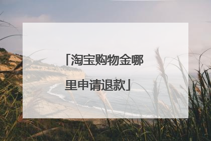淘宝购物金哪里申请退款